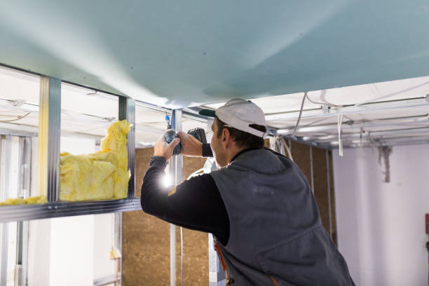 Best Cellulose Insulation in East Bakersfield, CA